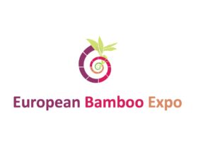 european bamboo v