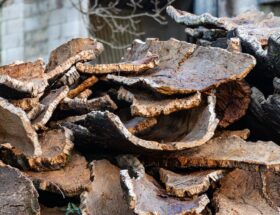 Photo de liége par Atelier Geminé