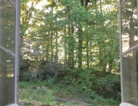 visuel 01 fenetre ouverte bonnaud xavier carre 0