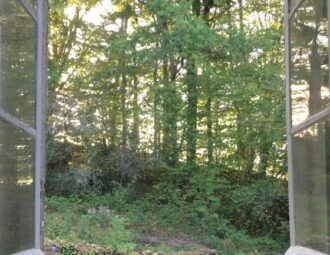 visuel 01 fenetre ouverte bonnaud xavier carre 0