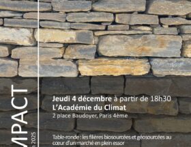 Affiche IMPACT table ronde et remise des prix