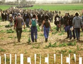 603767735 1289406559899320 9045612310114825205 n