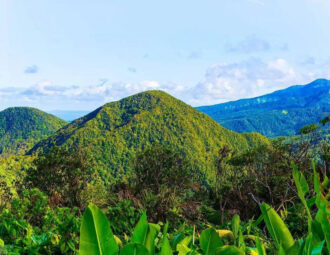 Culture et transition ecologique guadeloupe